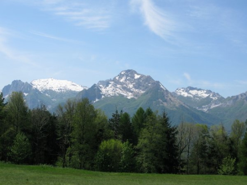 Apuanische Alpen vom Hügel Argegna gesehen