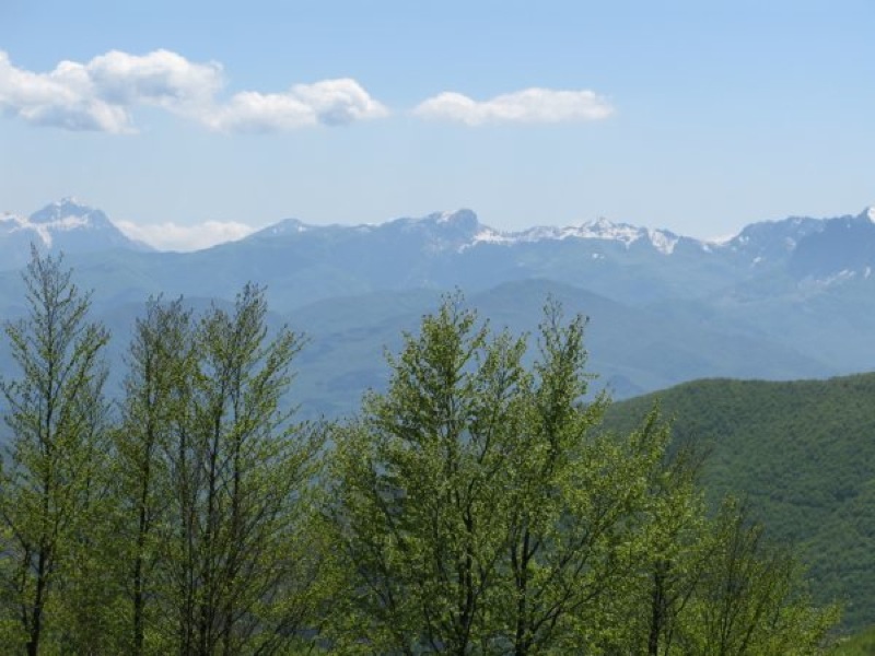 Blick auf die Apuanischen Alpen
