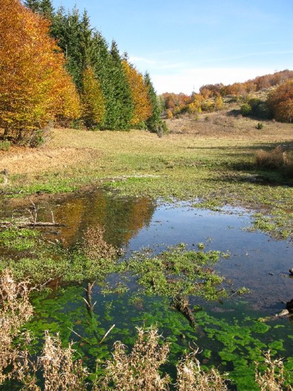 Small pond in Pratizzano