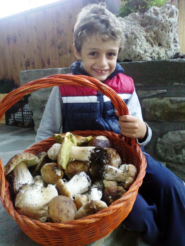 Young but determined mushroom hunters