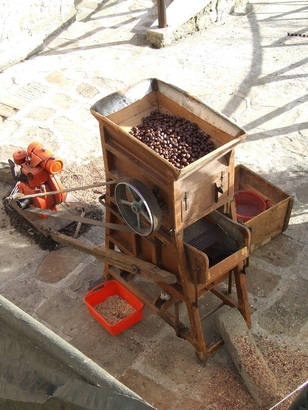 Giuncugnano, festival of the chestnut threshing